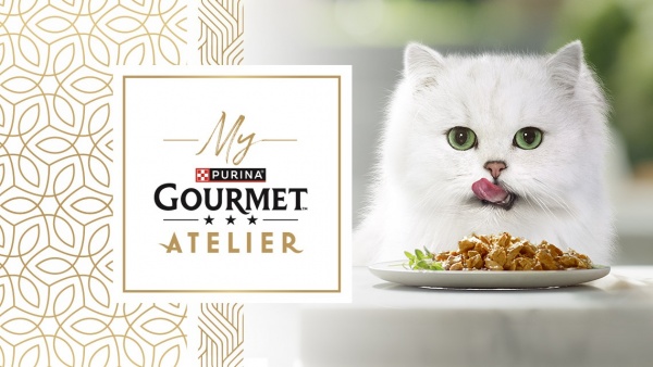 My Gourmet Atelier, il servizio di composizione di un menu personalizzato per il proprio gatto